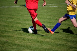 九游娱乐(jiuyou)官方网站-中国田径队在世界舞台上表现优异，奖牌不断，中国田径队排名